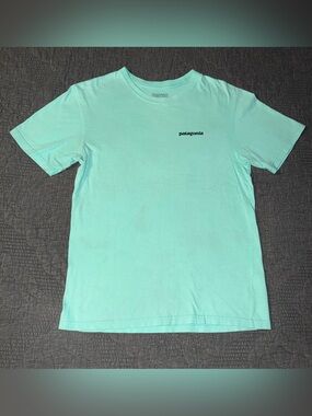 Patagonia Fitz Roy Tarpon Regular Fit T-Shirt-Thin Ice Men’s Size-XS